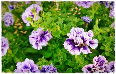 cymera_20140521_164648