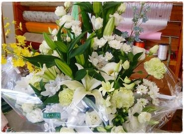 残暑お見舞い申し上げます☀｜「花の店ハナヤ」　（兵庫県宍粟市の花キューピット加盟店 花屋）のブログ