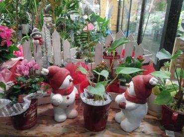 そろそろ…♪｜「花の店ハナヤ」　（兵庫県宍粟市の花キューピット加盟店 花屋）のブログ